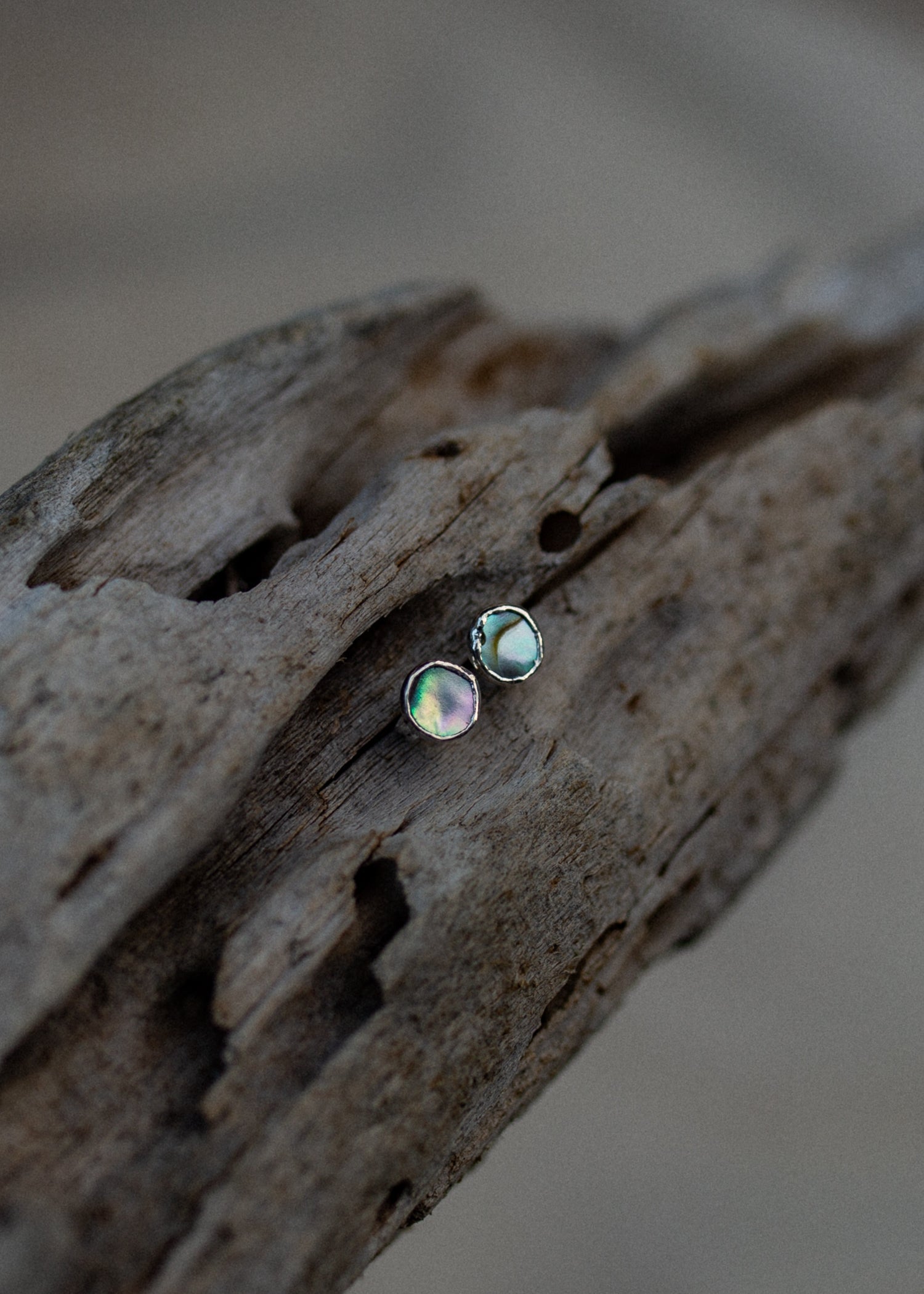 Abalone studs on a driftwood background