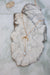 Phoebe Lariat Necklace