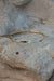 Sunna Bracelet